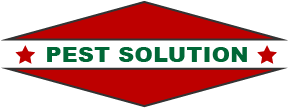 Pest Solution Bali